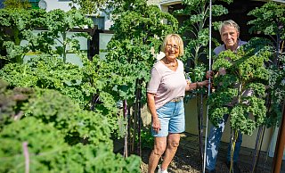 Das Bielefelder Ehepaar Hülsmann im Palmenwald aus Grünkohl. - Mike-Dennis Müller Das Bielefelder Ehepaar Hülsmann im Palmenwald aus Grünkohl. - Mike-Dennis Müller