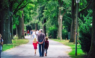 Einmalig: Die Allee an der Promenade ist ein beliebter Spazierweg für die Bielefelder. Sie können als Baumpaten helfen, dass Eichen kranke Eschen ersetzen. - jonek-fotografie.de Einmalig: Die Allee an der Promenade ist ein beliebter Spazierweg für die Bielefelder. Sie können als Baumpaten helfen, dass Eichen kranke Eschen ersetzen. - jonek-fotografie.de