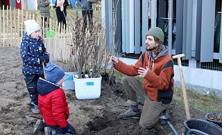Mica und Emily pflanzen zusammen mit Stefan Scharfe den ersten Baum des Tiny Forest am Klinikum. - Frank-Michael Kiel-Steinkamp Mica und Emily pflanzen zusammen mit Stefan Scharfe den ersten Baum des Tiny Forest am Klinikum. - Frank-Michael Kiel-Steinkamp