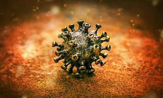 Die Omikron-Variante des Corona-Virus' treibt derzeit in vielen Ländern Europas die Infektionszahlen in die Höhe. - picture alliance Die Omikron-Variante des Corona-Virus' treibt derzeit in vielen Ländern Europas die Infektionszahlen in die Höhe. - picture alliance