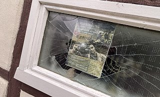Das Haus der jüdischen Familie Rosenberg an der Paderborner Straße in Haaren wurde offenbar mutwillig attackiert. Vor dem Haus sind im Mai 2022 Stolpersteine verlegt worden. - Jens Reddeker Das Haus der jüdischen Familie Rosenberg an der Paderborner Straße in Haaren wurde offenbar mutwillig attackiert. Vor dem Haus sind im Mai 2022 Stolpersteine verlegt worden. - Jens Reddeker