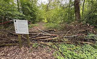 Bustedter Holz, Naturschutzgebiet Hiddenhausen, Bustedter See, Wege gesperrt - Katharina Eisele Bustedter Holz, Naturschutzgebiet Hiddenhausen, Bustedter See, Wege gesperrt - Katharina Eisele