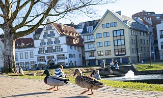 Das Frühlingswetter lädt im Paderquellgebiet zum Flanieren ein. - Niklas Tüns Das Frühlingswetter lädt im Paderquellgebiet zum Flanieren ein. - Niklas Tüns