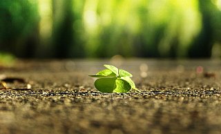Es ist an der Zeit für mehr Optimismus. - Pixabay License Es ist an der Zeit für mehr Optimismus. - Pixabay License