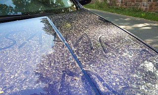Saharasand könnte sich ab Freitag auch auf zahlreichen Autos in Ostwestfalen-Lippe wiederfinden. Der Regen, der in der Nacht zuvor erwartet wird, soll ihn aus der Atmosphäre waschen. - Friedrich Föst Saharasand könnte sich ab Freitag auch auf zahlreichen Autos in Ostwestfalen-Lippe wiederfinden. Der Regen, der in der Nacht zuvor erwartet wird, soll ihn aus der Atmosphäre waschen. - Friedrich Föst