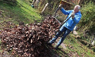 Friedhelm Diebrok hat jede Menge Bäume in seinem Garten. Ein paar Schubkarren voller Laub sind schnell zusammengeharkt, ein Haufen schnell gemacht. - Meiko Haselhorst Friedhelm Diebrok hat jede Menge Bäume in seinem Garten. Ein paar Schubkarren voller Laub sind schnell zusammengeharkt, ein Haufen schnell gemacht. - Meiko Haselhorst