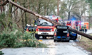 In Bielefeld auf der Lämershagener Straße stürzte ein Baum auf einen PKW. - Christian Mathiesen In Bielefeld auf der Lämershagener Straße stürzte ein Baum auf einen PKW. - Christian Mathiesen