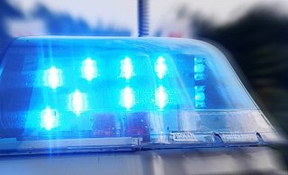 Die Polizei sucht die Diebe von zwei Karts. - David Schellenberg Die Polizei sucht die Diebe von zwei Karts. - David Schellenberg