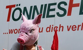 Die Kritik an Tönnies und auch der Politik im Kreis Gütersloh wird immer lauter. - Patrick Menzel Die Kritik an Tönnies und auch der Politik im Kreis Gütersloh wird immer lauter. - Patrick Menzel