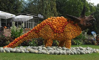 Hingucker: Mehrere Meter hoch sind die mit Kürbissen gestalteten Dino-Skulpturen. Der Unterbau besteht aus Holz. Dieses Exemplar stand im baden-württembergischen Ludwigsburg. - Gartenschau Bad Lippspringe / Kuhnle Hingucker: Mehrere Meter hoch sind die mit Kürbissen gestalteten Dino-Skulpturen. Der Unterbau besteht aus Holz. Dieses Exemplar stand im baden-württembergischen Ludwigsburg. - Gartenschau Bad Lippspringe / Kuhnle