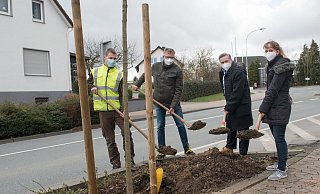 Florian Müller (SWK, v. l.), Axel Echternkamp (Grünflächenamt), Bürgermeister Tim Kähler und Klimaschutzmanagerin Laetitia Müller zeigen schon mal, wie das mir dem Einpflanzen funktiorniert. - Ralf Bittner Florian Müller (SWK, v. l.), Axel Echternkamp (Grünflächenamt), Bürgermeister Tim Kähler und Klimaschutzmanagerin Laetitia Müller zeigen schon mal, wie das mir dem Einpflanzen funktiorniert. - Ralf Bittner
