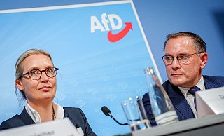 Alice Weidel und Tino Chrupalla. Die AfD-Spitze strebt einen Austritt aus dem rechten Parteienbündnis an und will damit einem Rauswurf zuvorkommen. - Kay Nietfeld/dpa Alice Weidel und Tino Chrupalla. Die AfD-Spitze strebt einen Austritt aus dem rechten Parteienbündnis an und will damit einem Rauswurf zuvorkommen. - Kay Nietfeld/dpa