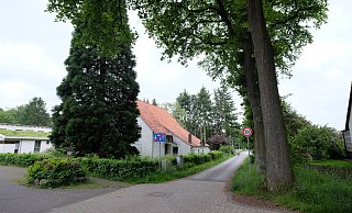 Ein seit Jahren bereits unbewohntes Haus liegt im Baugebiet. Der stattliche Mammutbaum davor könnte möglicherweise verpflanzt werden, meint Christopher Gladen von der Firma Wegener Massivbau. Aber auch um die Eichen rechts neben dem dort sehr schmalen Wiesenpfad machen sich die Anwohner Sorgen. - Hans-Hermann Igges Ein seit Jahren bereits unbewohntes Haus liegt im Baugebiet. Der stattliche Mammutbaum davor könnte möglicherweise verpflanzt werden, meint Christopher Gladen von der Firma Wegener Massivbau. Aber auch um die Eichen rechts neben dem dort sehr schmalen Wiesenpfad machen sich die Anwohner Sorgen. - Hans-Hermann Igges