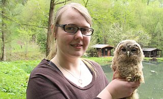 Dieses Waldkauz-Küken, das Biologin Anna Reichel auf dem Arm hält, sieht aus wie ausgestopft, ist aber echt. - Burkhard Battran Dieses Waldkauz-Küken, das Biologin Anna Reichel auf dem Arm hält, sieht aus wie ausgestopft, ist aber echt. - Burkhard Battran