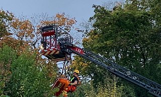Rund zweieinhalb Meter ist der Mann an der Marienkirche in die Tiefe gestürzt. Die Feuerwehr setzte zur Rettung eine Drehleiter ein. - Henning Wandel Rund zweieinhalb Meter ist der Mann an der Marienkirche in die Tiefe gestürzt. Die Feuerwehr setzte zur Rettung eine Drehleiter ein. - Henning Wandel