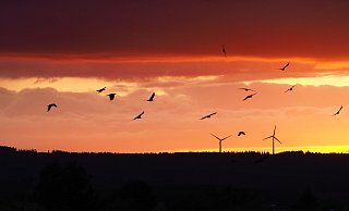 Sonnenuntergang in der Egge: Deutlich zu warm war der August in diesem Jahr. Dafür gab es viel Sonnenschein und manch schönen Sonnenuntergang. - Josef Köhne Sonnenuntergang in der Egge: Deutlich zu warm war der August in diesem Jahr. Dafür gab es viel Sonnenschein und manch schönen Sonnenuntergang. - Josef Köhne