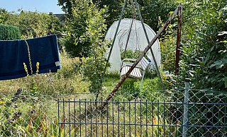Von einer guten Nachbarschaft kann man in diesem Fall wohl nicht sprechen. Der Garten mit dem Hanfanbau zur mutmaßlichen Gewinnung von Cannabis grenzt direkt an den Gartenbereich der Paulus-Kita. Die Nachbarn haben nun genug von lärmenden, alkoholisierten oder unter Drogen stehenden Bewohnern. - Robert Becker Von einer guten Nachbarschaft kann man in diesem Fall wohl nicht sprechen. Der Garten mit dem Hanfanbau zur mutmaßlichen Gewinnung von Cannabis grenzt direkt an den Gartenbereich der Paulus-Kita. Die Nachbarn haben nun genug von lärmenden, alkoholisierten oder unter Drogen stehenden Bewohnern. - Robert Becker