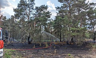 Erneut kam es am Donnerstag zu einem ausgedehnten Vegetationsbrand auf dem Truppenübungsplatz Senne im Bereich der Schießbahnen Alma und Lima. - Feuerwehr Erneut kam es am Donnerstag zu einem ausgedehnten Vegetationsbrand auf dem Truppenübungsplatz Senne im Bereich der Schießbahnen Alma und Lima. - Feuerwehr