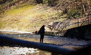 Ein Angler in der Werre in Herford: Damit er dort Fische an Land ziehen darf, braucht er diverse Genehmigungen. - Daniel Salmon Ein Angler in der Werre in Herford: Damit er dort Fische an Land ziehen darf, braucht er diverse Genehmigungen. - Daniel Salmon