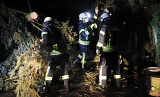 Feuerwehreinsatz in Heepen am frühen Donnerstagmorgen: Ein umgeknickter Baum versperrt eine Anliegerstraße. - Charlotte Mahncke Feuerwehreinsatz in Heepen am frühen Donnerstagmorgen: Ein umgeknickter Baum versperrt eine Anliegerstraße. - Charlotte Mahncke
