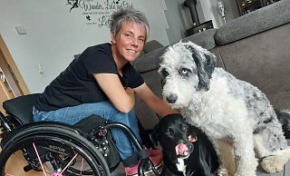 Die Borgentreicherin Claudia Tauchert und ihre Hunde: Therapiebegleithund Nana mit dem schwarzen Fell und Milo, in dem ein Australian Shepherd und ein Königspudel stecken. Er soll jetzt in die Ausbildung. Im Haus lebt auch noch der Floh, sagt Tauchert. Ein 13-jähriger Shih Tzu in Rente und der frechste von allen. Foto: Dieter Scholz - Dieter Scholz Die Borgentreicherin Claudia Tauchert und ihre Hunde: Therapiebegleithund Nana mit dem schwarzen Fell und Milo, in dem ein Australian Shepherd und ein Königspudel stecken. Er soll jetzt in die Ausbildung. Im Haus lebt auch noch der Floh, sagt Tauchert. Ein 13-jähriger Shih Tzu in Rente und der frechste von allen. Foto: Dieter Scholz - Dieter Scholz