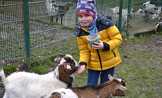 Dean (5) mag Ziegen. Der Junge aus Minden findet es toll, endlich mal wieder etwas zu unternehmen und ist mit seiner Familie in den Tierpark Herford gekommen. - Susanne Barth Dean (5) mag Ziegen. Der Junge aus Minden findet es toll, endlich mal wieder etwas zu unternehmen und ist mit seiner Familie in den Tierpark Herford gekommen. - Susanne Barth