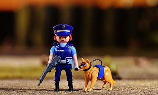 Eine lustige Nacht für einen Bielefelder Polizeihund. - pixabay Eine lustige Nacht für einen Bielefelder Polizeihund. - pixabay
