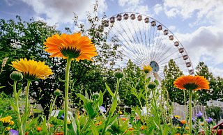 Eines der vielen Libori-Highlights in diesem Jahr: Das 55 Meter hohe Riesenrad. - Besim Mazhiqi Eines der vielen Libori-Highlights in diesem Jahr: Das 55 Meter hohe Riesenrad. - Besim Mazhiqi