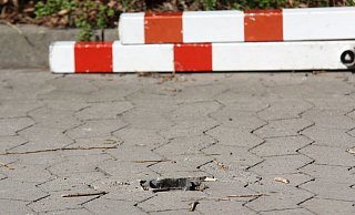 Festgeschweißt und wieder losgeflext: Ein Rettungswagen mit Patient aus Vlotho kam Karfreitag nicht durch diese Absperrung Am Hambkebach. - Ulf Hanke Festgeschweißt und wieder losgeflext: Ein Rettungswagen mit Patient aus Vlotho kam Karfreitag nicht durch diese Absperrung Am Hambkebach. - Ulf Hanke