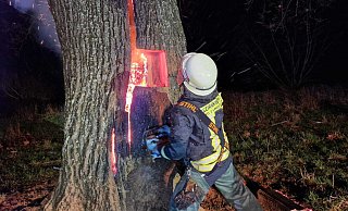 Um an Brandherd heranzukommen, musste die Feuerwehr Höxter den Baum aufsägen. Letztendlich musste er gefällt werden. - Thomas Kube Um an Brandherd heranzukommen, musste die Feuerwehr Höxter den Baum aufsägen. Letztendlich musste er gefällt werden. - Thomas Kube