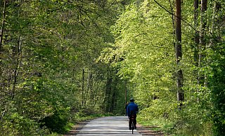 Die Straße Am Röhrbach soll als Fahrradstraße ausgewiesen werden. - Andreas Frücht Die Straße Am Röhrbach soll als Fahrradstraße ausgewiesen werden. - Andreas Frücht