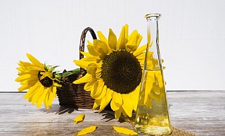 Die deutsche Ernährungsindustrie reagiert auf die wirtschaftlichen Auswirkungen des Ukraine-Kriegs. - Symbolfoto: Pixabay Die deutsche Ernährungsindustrie reagiert auf die wirtschaftlichen Auswirkungen des Ukraine-Kriegs. - Symbolfoto: Pixabay