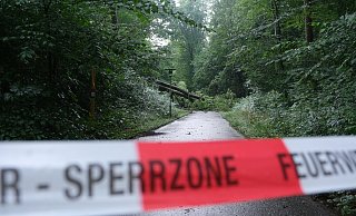 Ein großer Baum in der Oeynhausener Schweiz ist beim Unwett zerbrochen und versperrt den Rad- und Fußweg. - Ulf Hanke Ein großer Baum in der Oeynhausener Schweiz ist beim Unwett zerbrochen und versperrt den Rad- und Fußweg. - Ulf Hanke