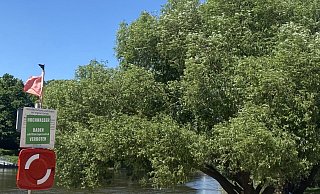 Am Mittwochnachmittag hing am Weserstrand das grüne Badeverbotschild aus. - Lena Nedderhoff Am Mittwochnachmittag hing am Weserstrand das grüne Badeverbotschild aus. - Lena Nedderhoff