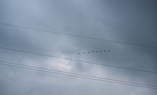 Vor allem Süddeutschland bereitet sich auf schwere Unwetter am Wochenende vor. - Pia Bayer Vor allem Süddeutschland bereitet sich auf schwere Unwetter am Wochenende vor. - Pia Bayer