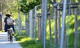 Derzeit sind an verschiedenen Stellen in Höxter Bauzäune aufgebaut. - Thomas Kube Derzeit sind an verschiedenen Stellen in Höxter Bauzäune aufgebaut. - Thomas Kube