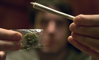 Die Cannabis-Fans aus Bielefeld warten darauf, ihre eigene Ware anbauen und konsumieren zu können. - dpa Die Cannabis-Fans aus Bielefeld warten darauf, ihre eigene Ware anbauen und konsumieren zu können. - dpa