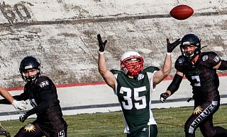 Ball fangen und ab zum Touchdown: Die Bielefeld Bulldogs wollten Samstag spielen, doch Donnerstagabend sagte der Gegner ab. Foto: Bulldogs - Bulldogs Ball fangen und ab zum Touchdown: Die Bielefeld Bulldogs wollten Samstag spielen, doch Donnerstagabend sagte der Gegner ab. Foto: Bulldogs - Bulldogs