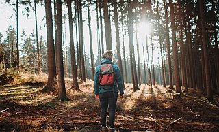 Wenn die Sonne durch die Bäume strahlt, bietet sich Wanderern auf dem Wittekindsweg manch unvergesslicher Moment. - Angelina Kuhlmann Wenn die Sonne durch die Bäume strahlt, bietet sich Wanderern auf dem Wittekindsweg manch unvergesslicher Moment. - Angelina Kuhlmann