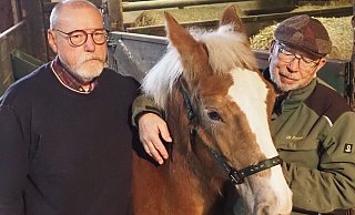Der Abschied von Niko, dem letzten in Nieheim geborenen Westfälischen Kaltblutpferd fällt Theodor Aust (l.) und Ulrich Pieper sichtlich schwer. - Josef Köhne Der Abschied von Niko, dem letzten in Nieheim geborenen Westfälischen Kaltblutpferd fällt Theodor Aust (l.) und Ulrich Pieper sichtlich schwer. - Josef Köhne