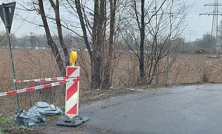 Wieder eine wilde Müllablagerung. Inhalt dieses und eines weiteren Sacks sind offenbar Teile einer toten Kuh. - Schneider/Privat Wieder eine wilde Müllablagerung. Inhalt dieses und eines weiteren Sacks sind offenbar Teile einer toten Kuh. - Schneider/Privat