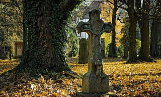 Jemand soll auf dem Friedhof gezündelt haben. - (Symbolbild): Pixabay Jemand soll auf dem Friedhof gezündelt haben. - (Symbolbild): Pixabay
