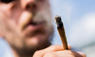 Ab 1. April sind Besitz und Anbau von Cannabis für Volljährige erlaubt. - Christoph Soeder Ab 1. April sind Besitz und Anbau von Cannabis für Volljährige erlaubt. - Christoph Soeder