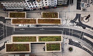 Jahnplatz: Dem Grün auf den Haltestellendächern ist anzusehen, dass es dürstet. - Mike-Dennis Müller / www.mdm.photo Jahnplatz: Dem Grün auf den Haltestellendächern ist anzusehen, dass es dürstet. - Mike-Dennis Müller / www.mdm.photo