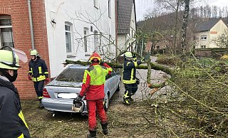 In Brenkhausen stürzte am Freitagmittag ein Baum auf ein Auto. - Feuerwehr Höxter In Brenkhausen stürzte am Freitagmittag ein Baum auf ein Auto. - Feuerwehr Höxter