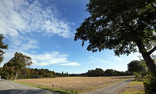 Den riesige Acker zwischen der Senner Straße und dem Nordfeldweghat die BBVG für die Ansiedlung von Gewerbe schon 2019 gekauft. Die Entwässerung des Gebietes ist allerdings problematisch, da die Kanäle ins Gebiet der Nachbarstadt Gütersloh reichen. - Oliver Krato,Oliver Krato Den riesige Acker zwischen der Senner Straße und dem Nordfeldweghat die BBVG für die Ansiedlung von Gewerbe schon 2019 gekauft. Die Entwässerung des Gebietes ist allerdings problematisch, da die Kanäle ins Gebiet der Nachbarstadt Gütersloh reichen. - Oliver Krato,Oliver Krato