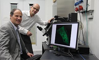 Physiker Thomas Huser (l.) und Chirurg Jan Schulte am Esch betrachten die Aufnahme einer Lebergewebeprobe, auf der die Gewebestrukturen und Gallengänge zu sehen sind. Visualisierungen dieser Art nutzen die Beiden für ihre Forschung. - Carolin Nieder-Entgelmeier Physiker Thomas Huser (l.) und Chirurg Jan Schulte am Esch betrachten die Aufnahme einer Lebergewebeprobe, auf der die Gewebestrukturen und Gallengänge zu sehen sind. Visualisierungen dieser Art nutzen die Beiden für ihre Forschung. - Carolin Nieder-Entgelmeier