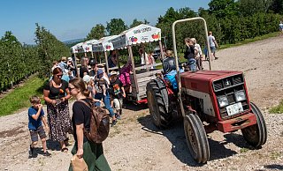Die Obsthof-Safaris im Trekker-Anhänger sind ein Publikumsmagnet bei den Festen auf dem Obsthof Otte. Beim Obstblütenfest im Mai sind die Wartezeiten deutlich kürzer als beim Apfeltag. - Ralf Bittner Die Obsthof-Safaris im Trekker-Anhänger sind ein Publikumsmagnet bei den Festen auf dem Obsthof Otte. Beim Obstblütenfest im Mai sind die Wartezeiten deutlich kürzer als beim Apfeltag. - Ralf Bittner