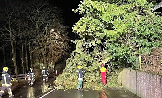Es waren vor allem umgestürzte Bäume, die die Feuerwehr am Freitagabend beschäftigten. - Feuerwehr Es waren vor allem umgestürzte Bäume, die die Feuerwehr am Freitagabend beschäftigten. - Feuerwehr