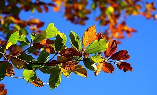 Ab Dienstag wird es wieder sonnig in OWL. - Pixabay Ab Dienstag wird es wieder sonnig in OWL. - Pixabay